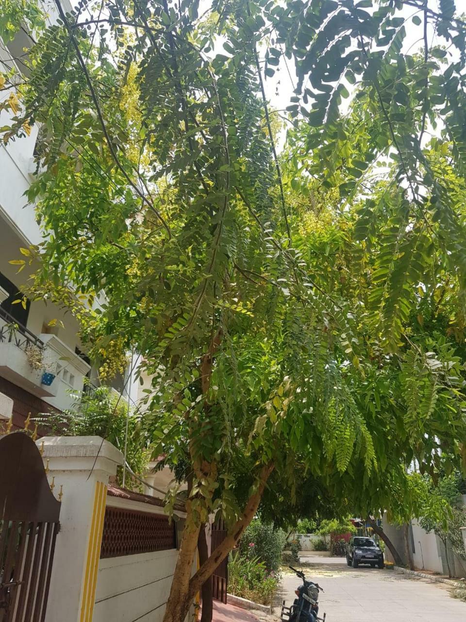 Royal Palace Guest House Chennai Exteriör bild